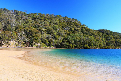 Strand im Ku-Ring-Gai-Chase Nationalpark, Australien Zugreise