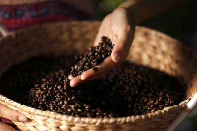 Kaffeerösterei, Mareeba, Australien Reise