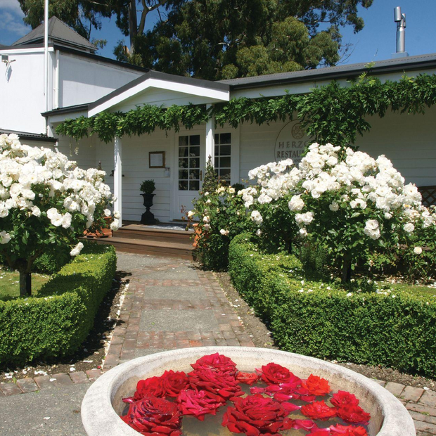 Hans Herzog Vineyard Cottage, Blenheim, Neuseeland Reise