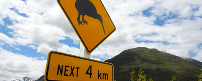 Kiwi Schild, Neuseeland Rundreise