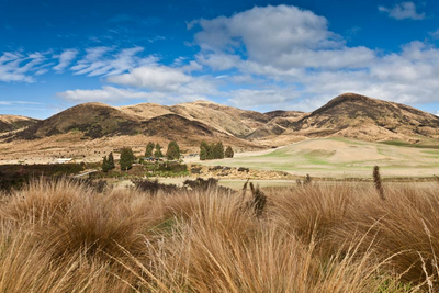 Steppe in McKenzie Country, Neuseeland Privatreise