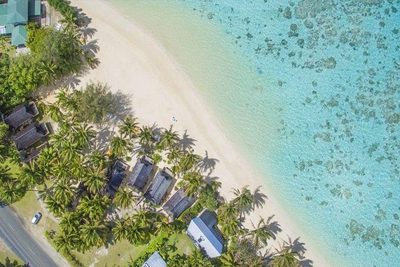 Palm Grove auf Rarotonga, Cook Islands, Neuseeland Südsee Reise
