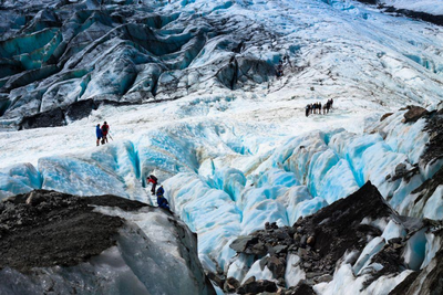 Franz-Joesf-Gletscher, Neuseeland Mietwagenrundreise