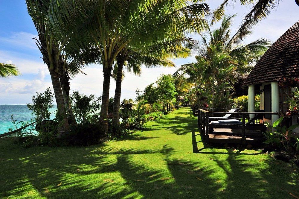 Palmen, Le Lagoto Resort & Spa, Savaii, Samoa Reise
