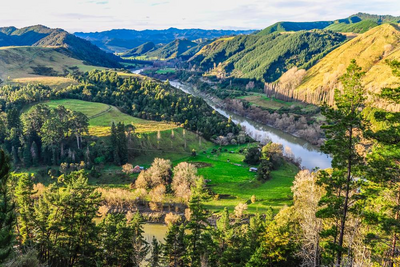 Wanganui Nationalpark, Neuseeland Privatreise