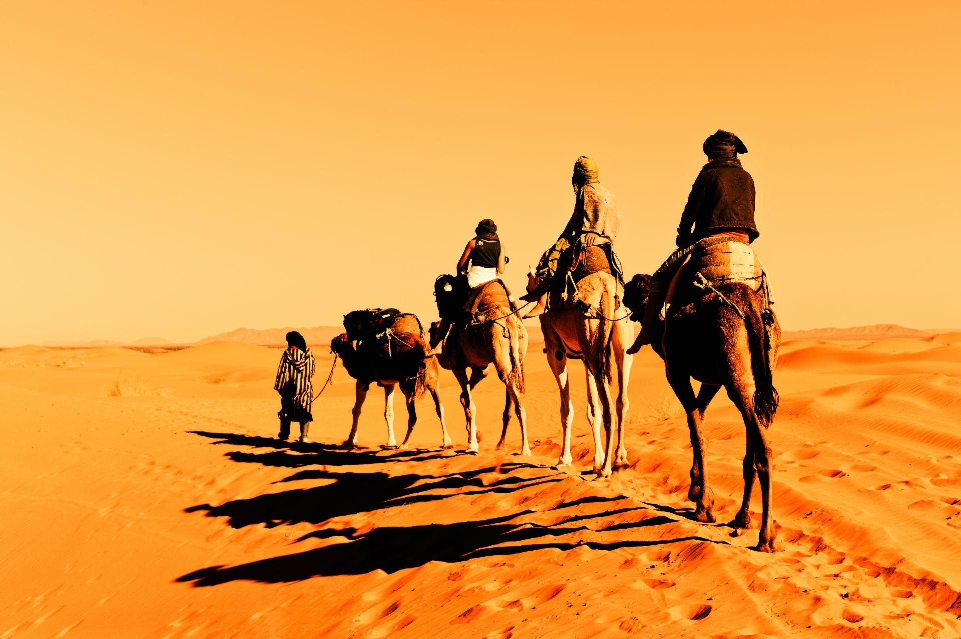 Seidenstraße Rundreisen, Kamele
