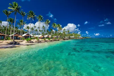 Palmenstrand, Südsee, Samoa Reise