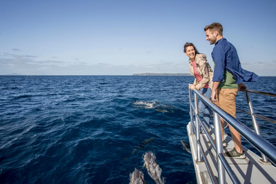 Delfinbeobachtung auf den Bay of Islands, Neuseeland Luxusreise