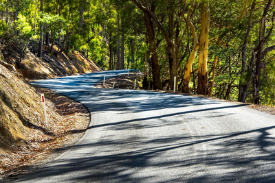 Cradle Mountain Road, Tasmanien Mietwagenreise