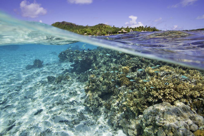 Schnorcheln, Aitutaki, Cook Islands, Ozeanien Reisen, Südsee