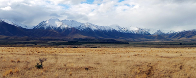 Pelennor Felder, Twizel, Neuseeland Rundreise
