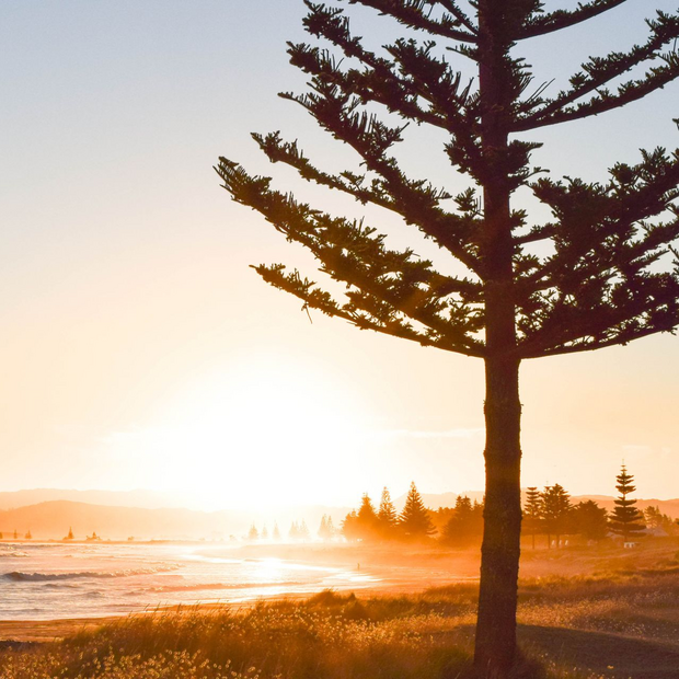 Willkommen in Waikanae Beach! Neuseeland Reise